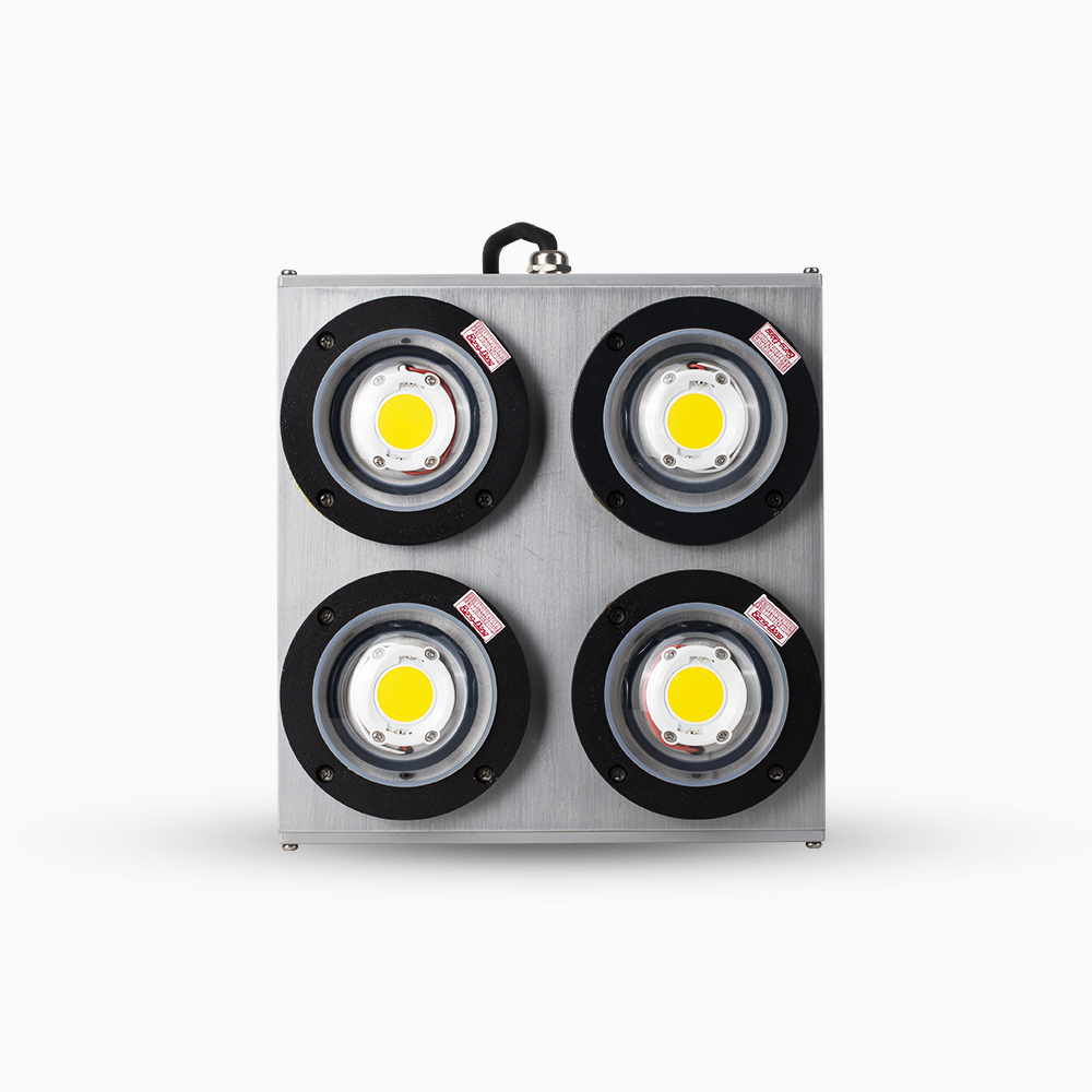 Đèn LED Đánh cá 500W COB